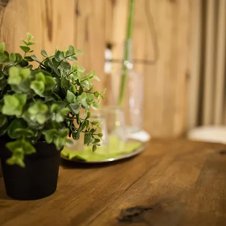 호텔 Zerrenpach 3*