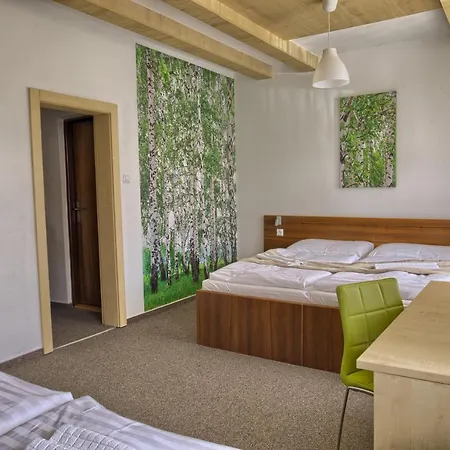 호텔 Zerrenpach 3*